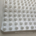 6 MM Plastic Sheet Dimpled Plastic Drain Sheet with Best Price Waterproofing Materials